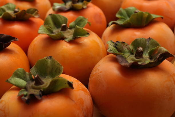 istock persimmon fruit in Okayama,Japan 1187607411