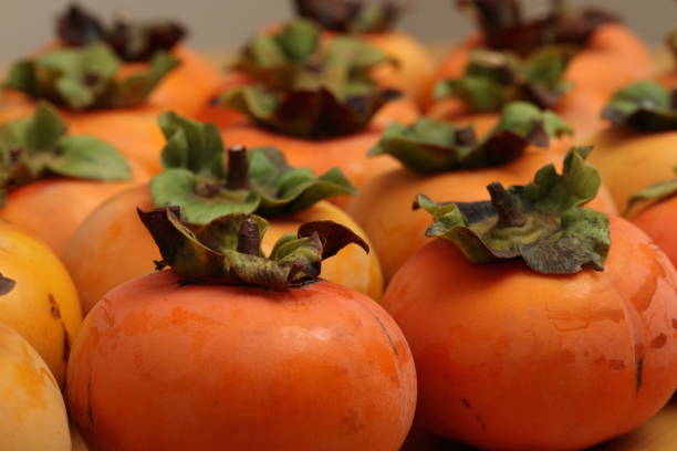 istock persimmon fruit in Okayama,Japan 1187607516