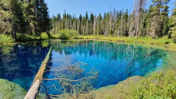 idyllische landschaft des kleinen kratersees in oregon - mt hood national park stock-fotos und bilder