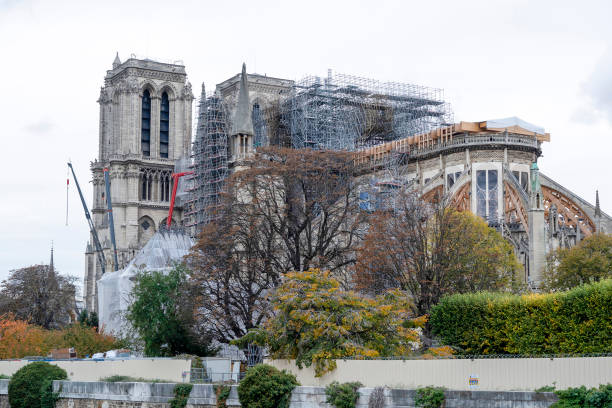 istock Notre dame paris under restoration 1187609161