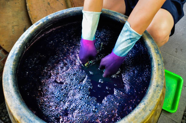 istock Blue-dye craft activity in Zhuo ye cottage. 1187614987