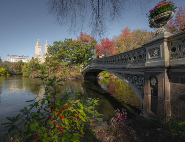 istock View of a Central Park bridge in autumn. 1187616490