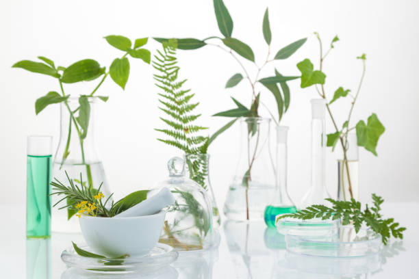 istock Scientific Experiment. Different herbs in test tubes. 1187617642