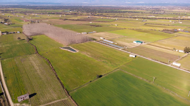 istock Aerial view of harvest fields 1187618078