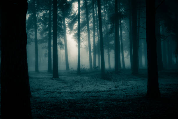 istock A spooky scenery of a trees. Halloween themed landscape. 1187619316