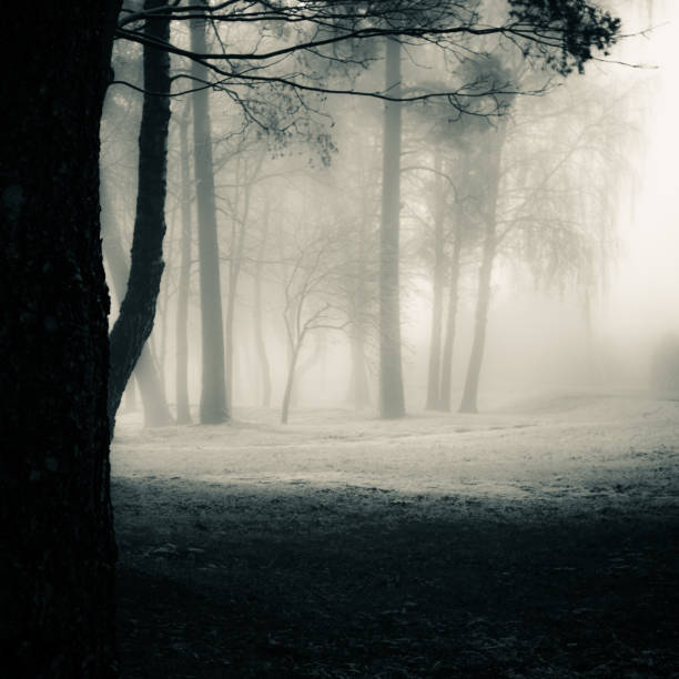 istock A spooky scenery of a trees. Halloween themed landscape. 1187619396