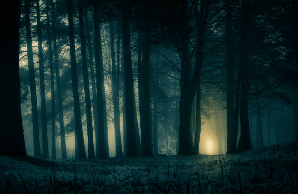 A spooky scenery of a trees. Halloween themed landscape.