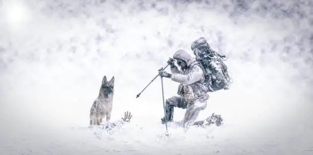 Rescue in the snow with German shepherd dog and firefighter mountaineer