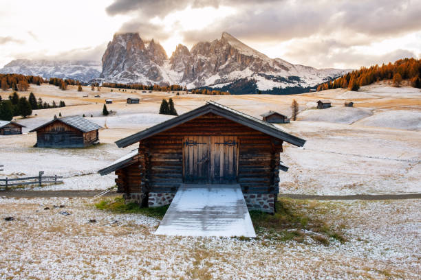istock Alpe di Siusi or Seiser Alm with Sassolungo - Saskofel mountain group 1187622114