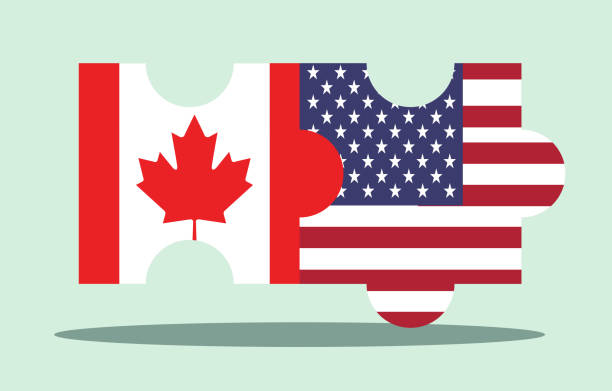 usa und kanada freundschaft, zwei teile des gleichen puzzles, lager - illustration - canada american flag canadian culture usa stock-grafiken, -clipart, -cartoons und -symbole