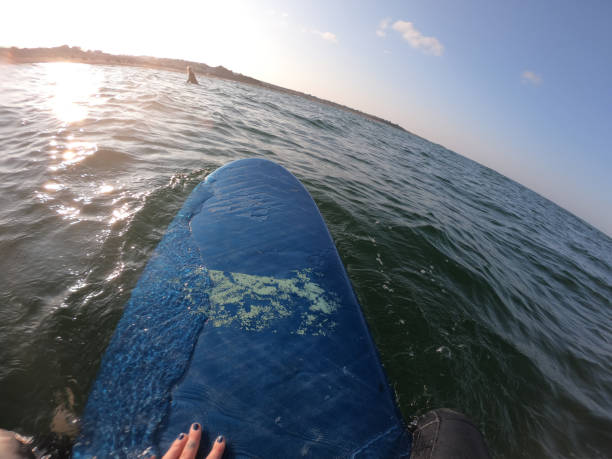 istock Surfer waiting for a wave at sunrise 1187627705