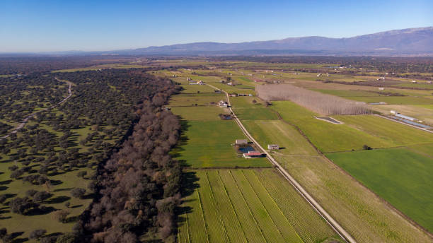 istock Aerial view of harvest fields 1187629702