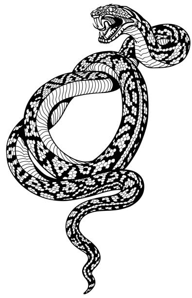 спиральный змея татуировка черно-белый - snake white curled up animal stock illustrations