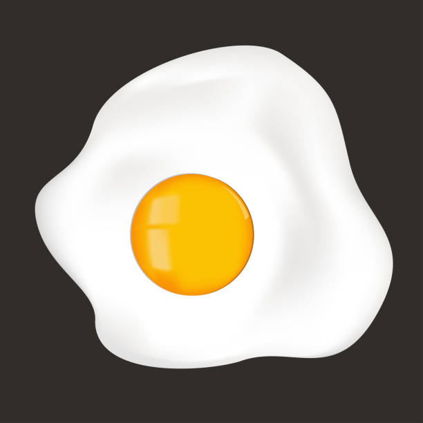 Download Fried Egg, Egg Sunny-Side Up, Overeasy. Royalty-Free Vector  Graphic - Pixabay
