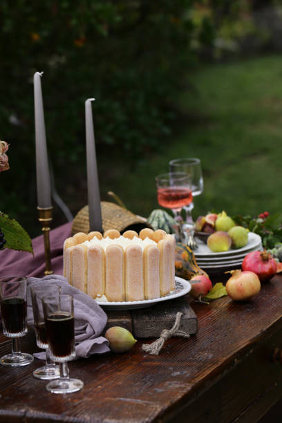 istock italian dessert tiramisu cake 1187632926