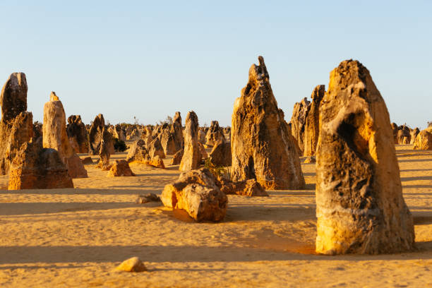 istock The Pinnacles desert at sunset, Western Australia 1187636428