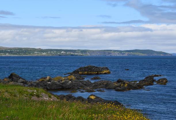 istock rock islands at  Ochre Pit Cove located on the Conception Bay 1187643034