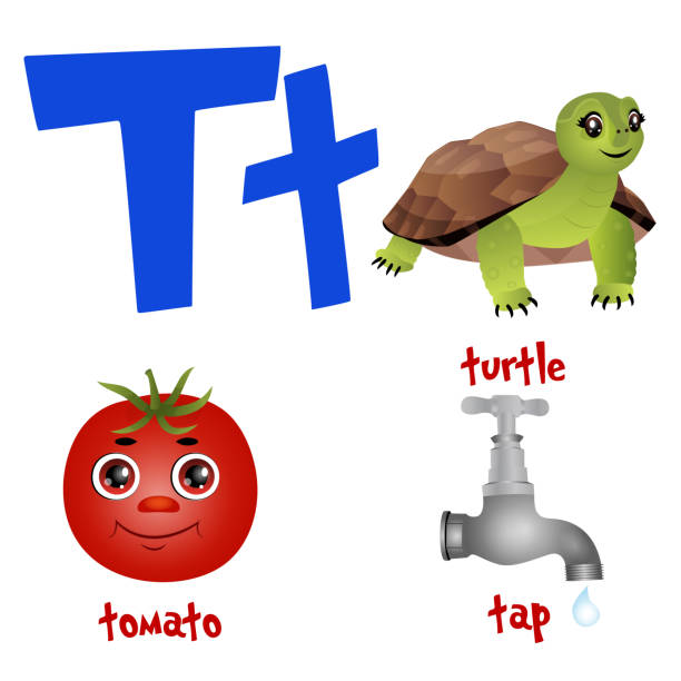  Letra T Con Tomate Ilustración Dibujo Animado Ilustraciones, gráficos vectoriales libres de derechos y clip art