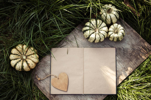 Open book and pumpkins. Small pumpkins on  wooden board. Autumn mood paper background stock photo