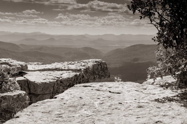 istock Mogollon Rim in Arizona 1187649074