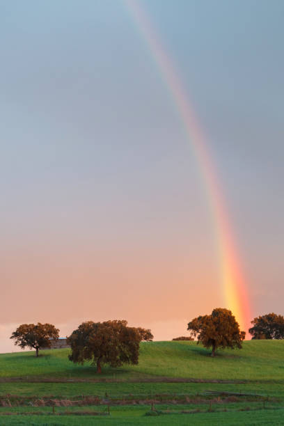 arcobaleno sulla campagna - 2649 foto e immagini stock