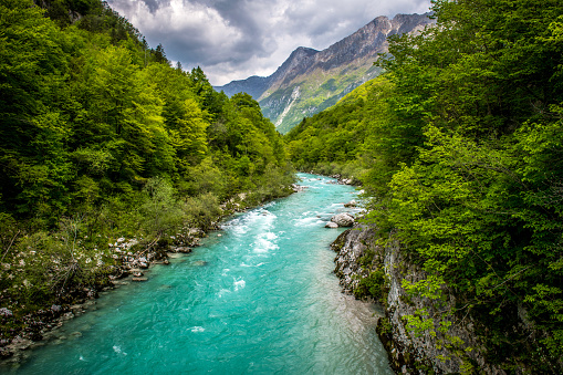 Hermoso río Soca cerca de Kobarid en Eslovenia, Europa photo