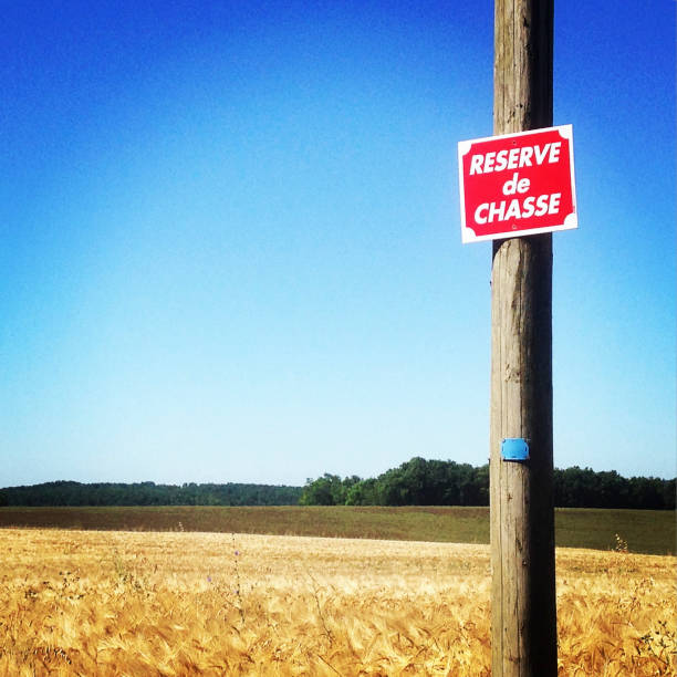 istock No hunting sign. Private hunting. 1187653600