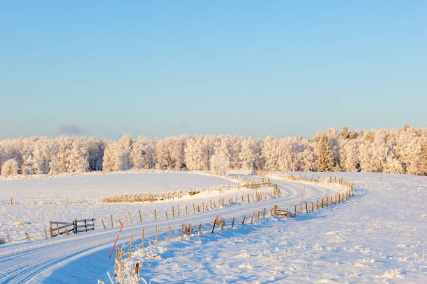istock Winter Landscape with road curves 1187653963
