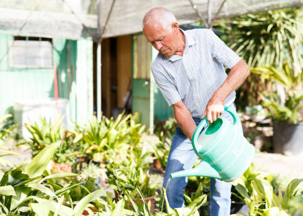 istock Elderly gardener watering plants 1187654071