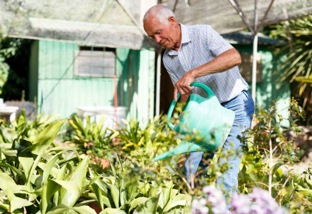 istock Elderly gardener watering plants 1187654080