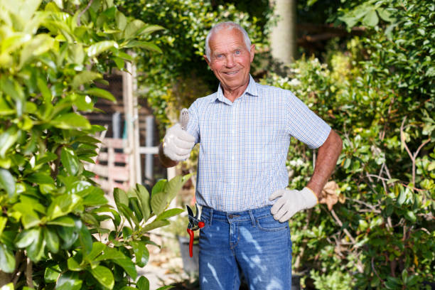 istock Older man proud of his garden 1187654092