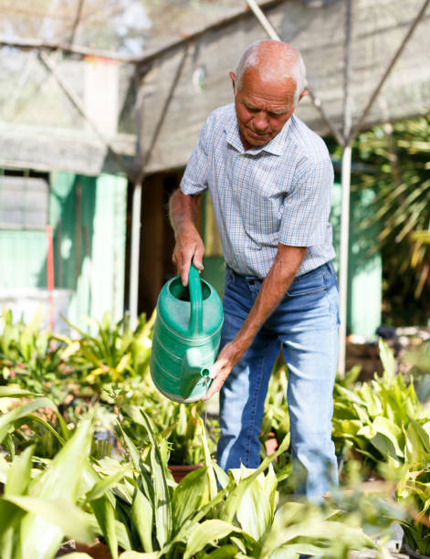 istock Elderly gardener watering plants 1187654108