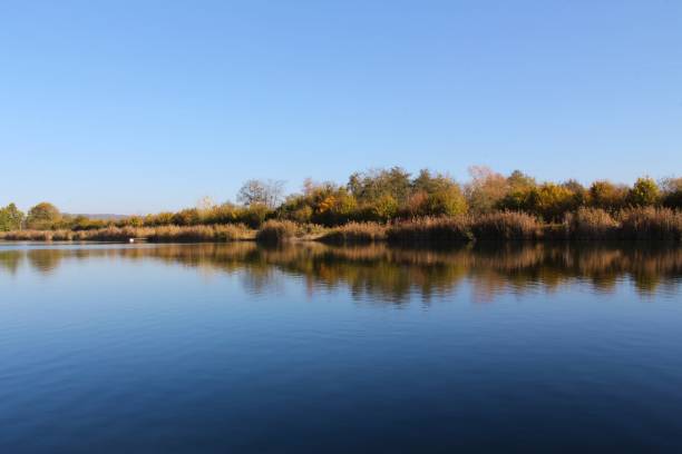 istock Lake shoreline reflecting symmetric in the water 1187654120