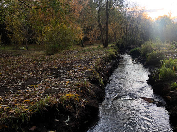 istock Autumn day with sun. Little river, yellow leaves and grass. Fall 1187655352