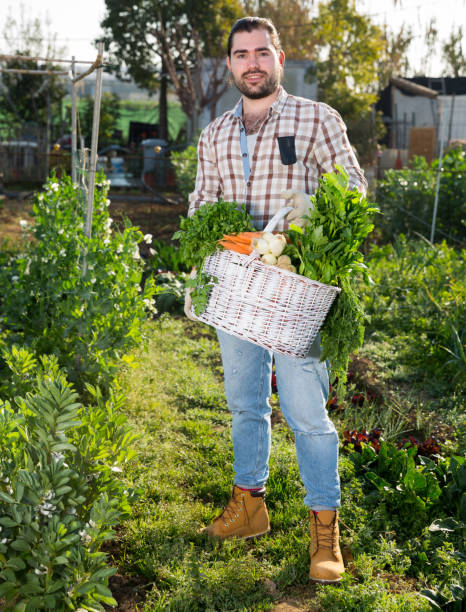 istock Man holding harvest of vegetables 1187656575