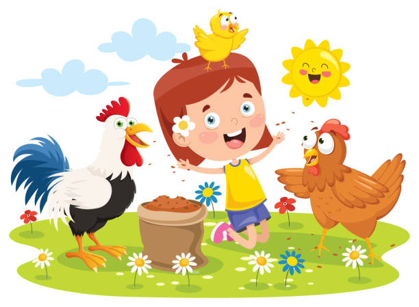 illustrazioni stock, clip art, cartoni animati e icone di tendenza di bambina che nutre gallo, pollo e pulcino - poultry farm chicken baby chicken