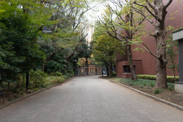 istock Autumn landscape in the park 1187657474
