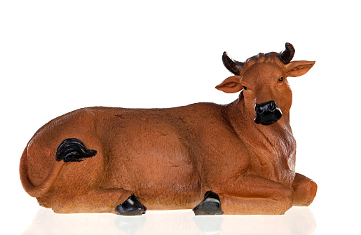 Life-size model cow in the entrance to a store in Bilbao, Spain