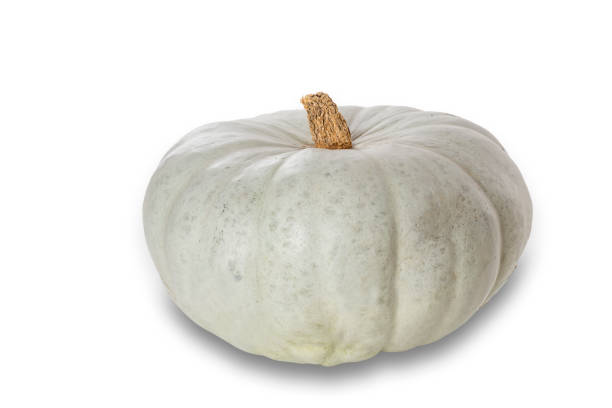 istock Whole pumpkin isolated on white background 1187658358