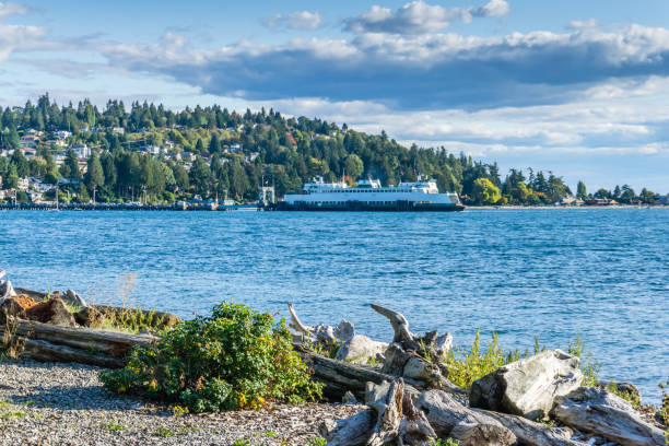 istock West Seattle Ferry Terminal Scene 5 1187659615