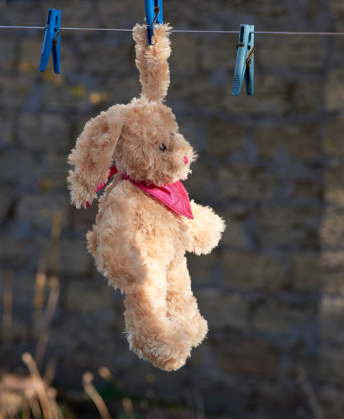 istock hare with long ears hang on a clothesline after washing 1187659741