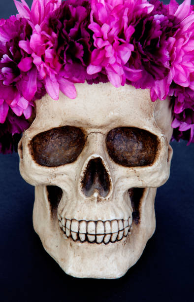 istock Skull with a wreath of pink flower 1187660064