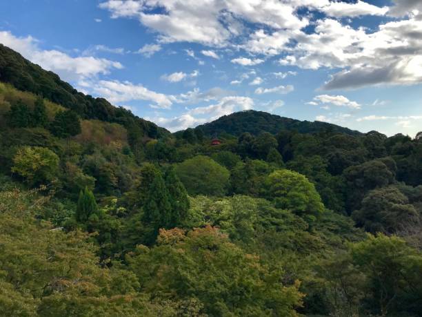 istock Beautiful park in Japan 1187663633