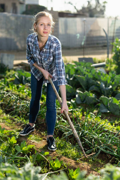 istock Woman hoeing in garden 1187665449