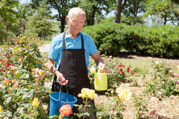 istock Male holding watering can at flowerbed 1187667896