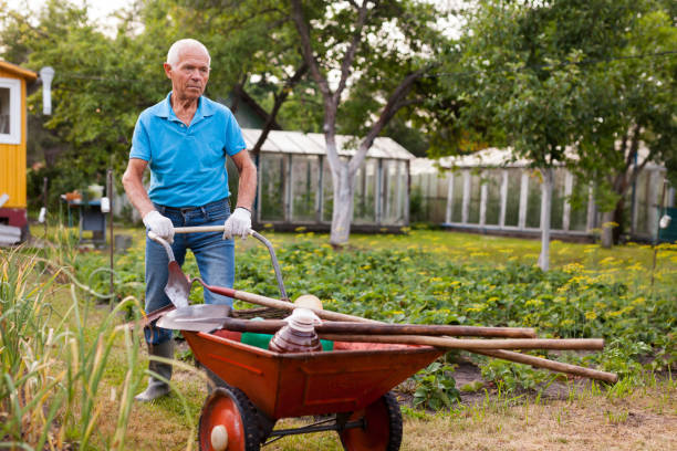 istock Senior man carrying garden tools in a wheelbarrow 1187667955