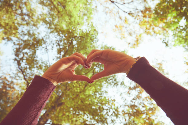 istock Woman holding heart shape with hands in nature. 1187668818