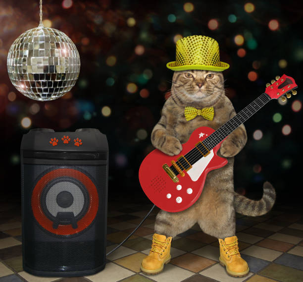 istock Cat plays electric guitar in club 1187669547