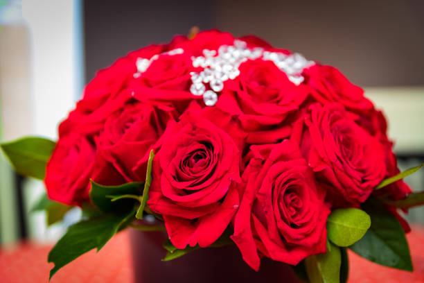 A close up of read roses with a blurred dark background