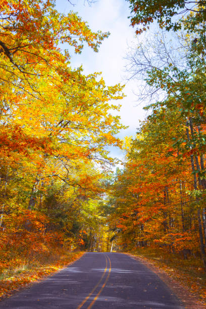Sightseeing road trip, looking down sunny country road, Autumn, amazing Fall colors, cool breeze, leaves falling.